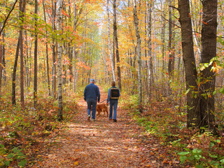 Older couple walking in the autumn forest with a dog