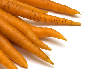 carrots on white background
