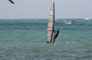 Windsurfer