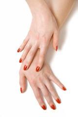 Fototapeta premium Two elegant woman hands