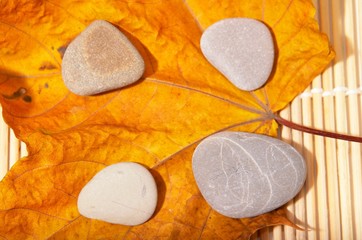 autumn leaf and four stones