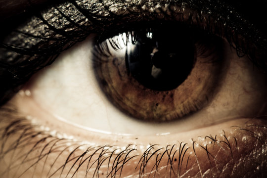 Sharp macro of an eye