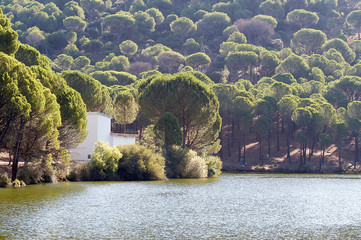 Casa junto al rio.