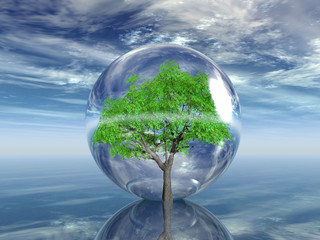 arbre en bulle