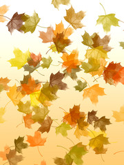 Falling leaves