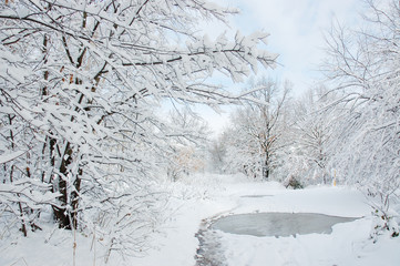 Winter landscape