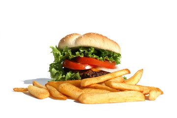 Hambuger and Fries