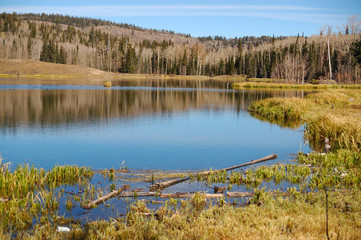 Posey Lake on Boulder Mountain, Utah.