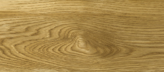 oak wood texture