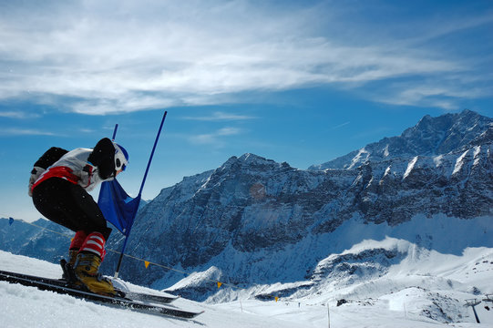 Slalom Ski Racer 