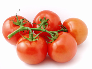 the bunch of tomatoes