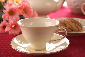 Beauty porcelain pottery