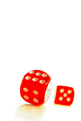 Closeup of two red dice on white background