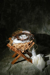 Fototapeta premium Manger With Crown of Thorns