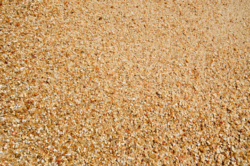 Sand Grains