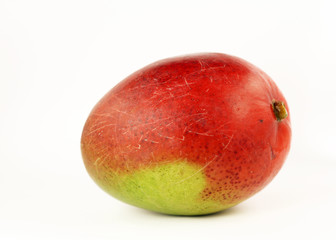 Mango isolated