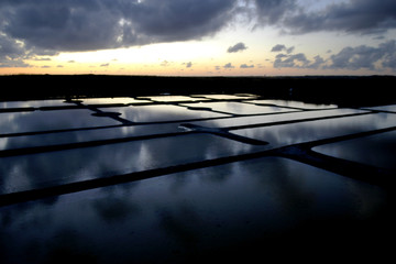 Alta Loira.Saline di Guerande