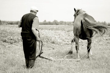 Man with working horse