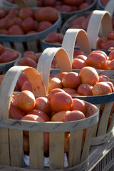 Tomates