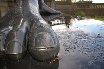 Fototapeta premium Big Foot