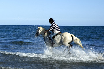 Canter