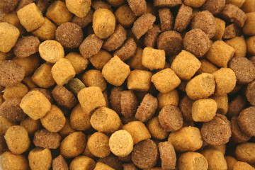 Dry Cat food background texture