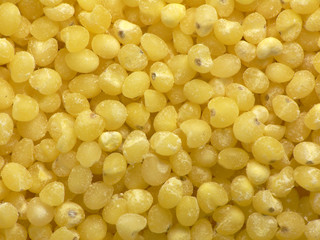 Polished millet seeds