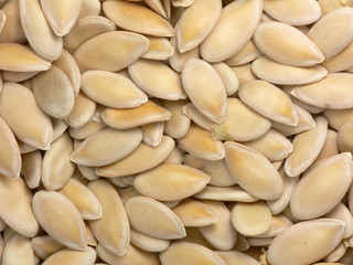 Cantaloup/cucumber seeds