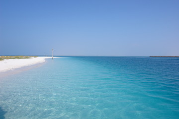 paradise now