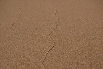 sable purete
