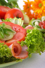 Fresh salad with onion, tomato and basil