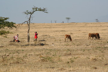 Masai