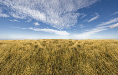 Simple horizon on a blue sky