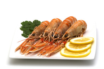 dish of shrimps on white background
