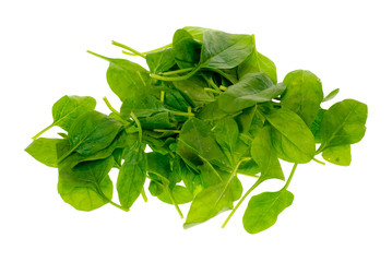 fresh spinach leaves