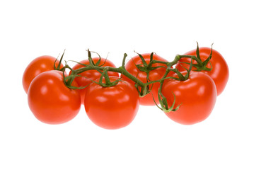 fresh bunch of tomatos