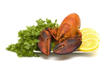 lobster on plate with lemon and parsley on white background