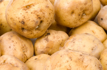 potato background