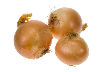 Fototapeta premium fresh onions