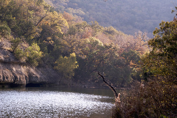 Texas Hill Country-Lost Maples State Natural Area
