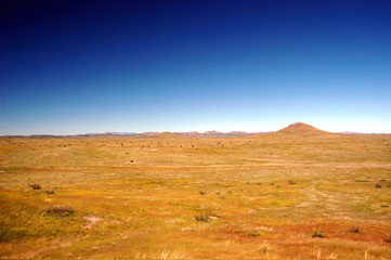 Arizona Grasslands