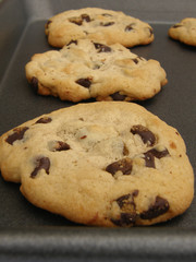 fresh baked chocolate chip cookies