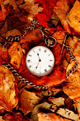 Pocket watch on leaves