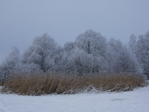 Winter am Knappensee 10