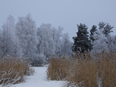 Winter am Knappensee 06