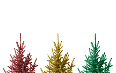 Fir Trees in Color
