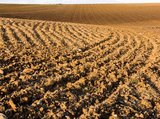 Clod of the furrows of a plughed field ready to sow
