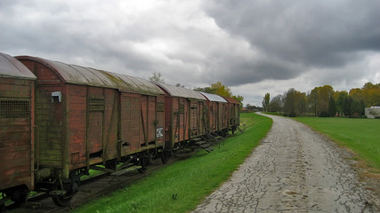 Fototapeta premium train