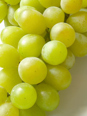 macro of grape bunch