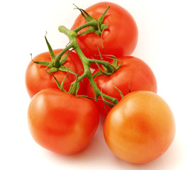 the bunch of tomatoes